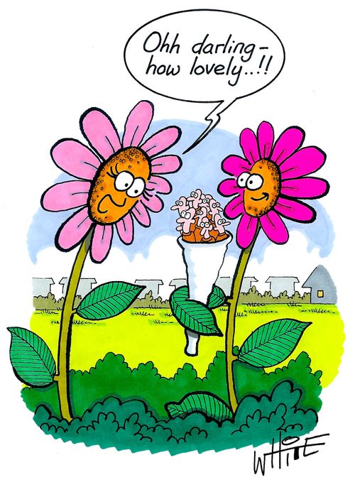 "Ohh darling - how lovely..!!"