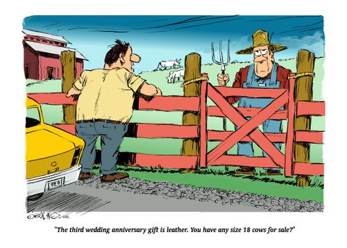 "The third wedding anniversary gift is leather. You have any size 18 cows for sale?"
