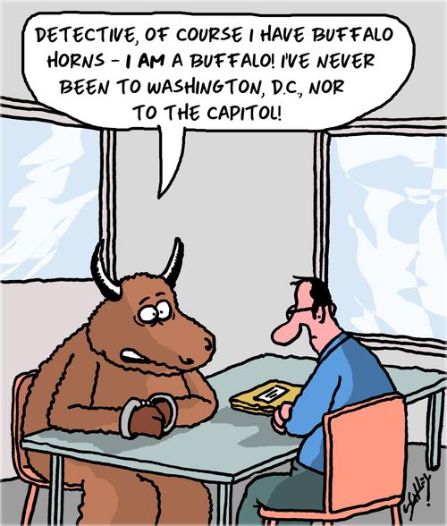 "Detective, of course I have buffalo horns - I am a buffalo! I've never been to Washington D.C., nor to the Capitol!"
