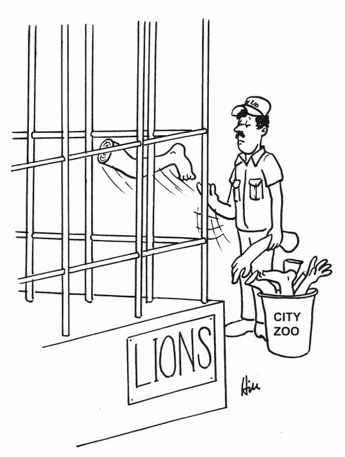 Feeding The Lions At The Zoo