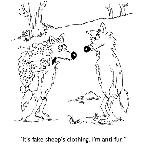 "It's fake sheep's clothing. I'm anti-fur."