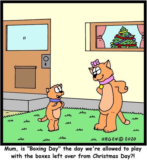 "Mum, is 'Boxing Day' the day we're allowed to play with the boxes left over from Christmas Day?!"