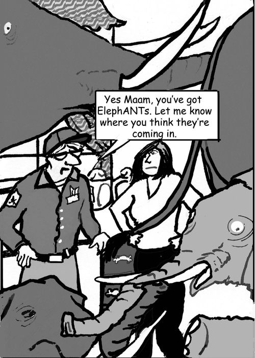 "Yes, Maam, you've got ElephANTs. Let me know where you think they're coming in."