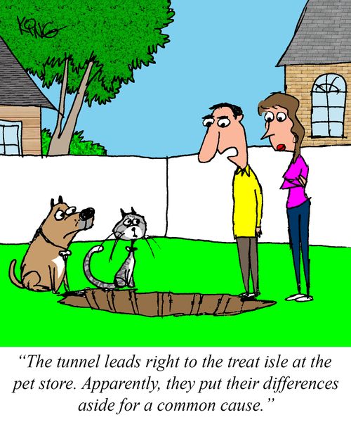 "The tunnel leads right to the treat isle at the pet store..."