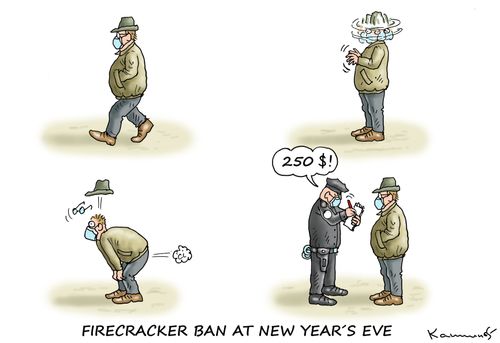 Firecracker ban at new year's eve