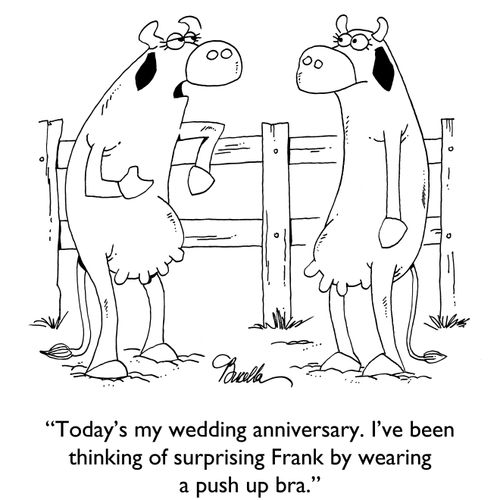 "Today's my anniversary. I've been thinking of surprising Frank by wearing a push up bra."