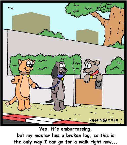 "Yes, it's embarrassing, but my master has a broken leg, so this is the only way I can go for a walk right now...