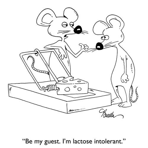 "Be mu guest. I'm lactose intolerant."
