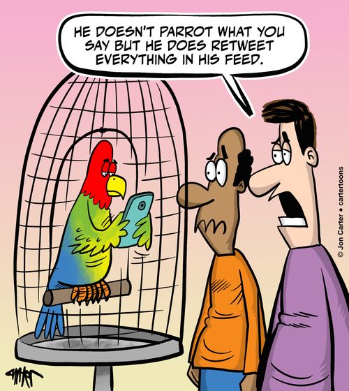 "He doesn't parrot what you say but he does retweet everything in his feed."