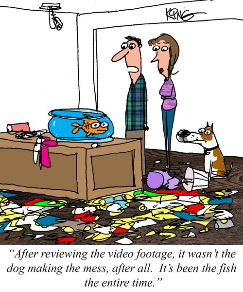 "After viewing the video footage, it wasn't the dog making the mess, after all..."