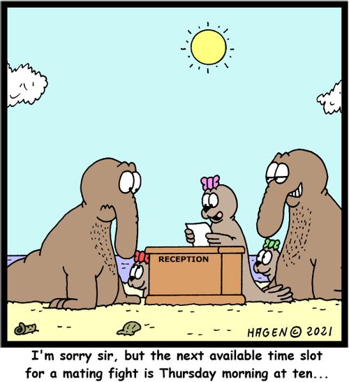 "I'm sorry sir, but the next available time slot for a mating fight is Thursday morning at ten..."