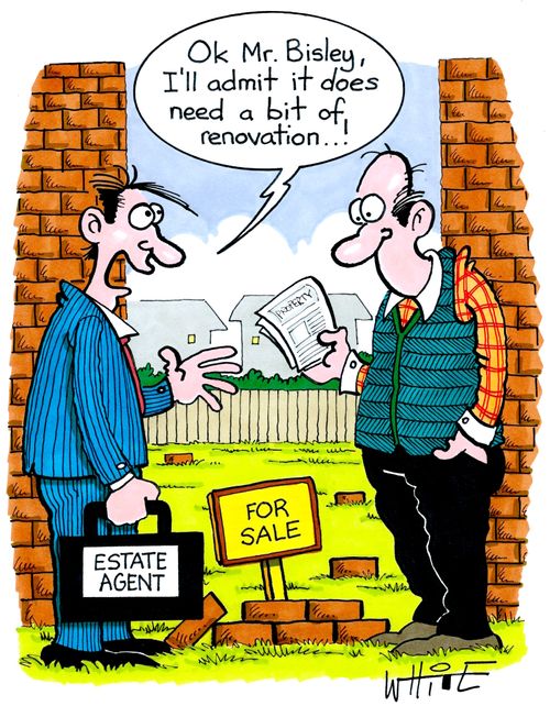 "Ok Mr. Bisley, I'll admit it does need a bit of renovation..!"