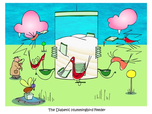 The Diabetic Hummingbird Feeder