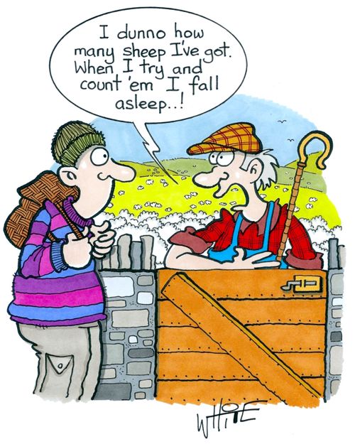 "I dunno how many sheep I've got. When I try to count 'em I fall asleep..!"
