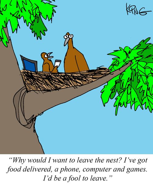 "Why would I want to leave the nest? I've got food delivered, a phone, computer and games. I'd be a fool to leave."
