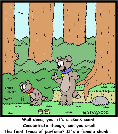 "Well done, yes, it's a skunk scent. Concentrate though, can you smell the faint trace of perfume? It's a female skunk..."