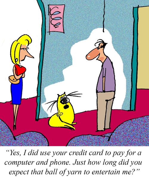 "Yes, I did use your credit card to pay for a computer and phone. Just how long did you expect that ball of yarn to entertain me."