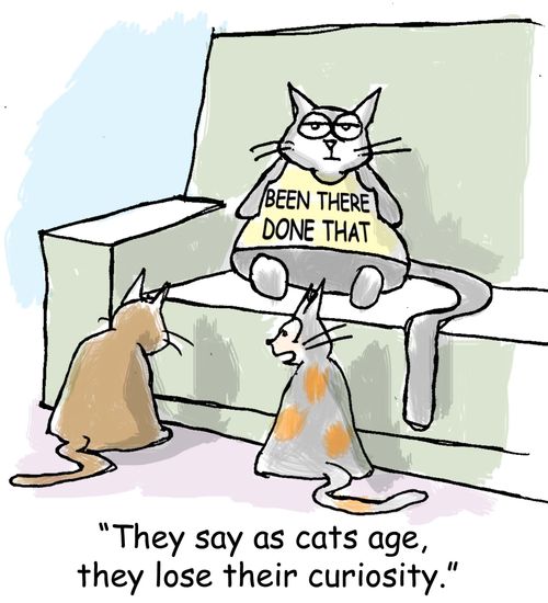 "They say as cats age, they lose their curiosity."