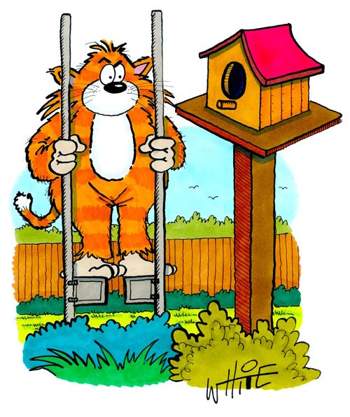 Cat tries to reach a birdfeeder on stilts.