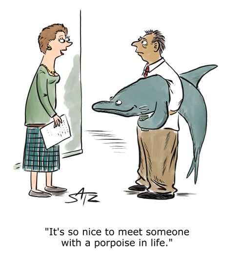 It's so nice to meet someone with a porpoise in life. 