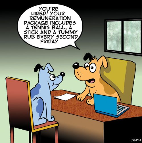 "You're hired! Your remuneration package includes a tennis ball, a stick and a tummy rub every second Friday."