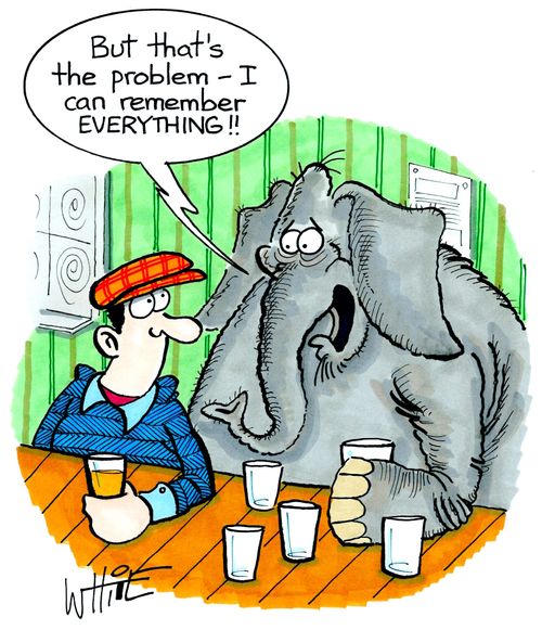 "But that's the problem - I can remember EVERYTHING!!"