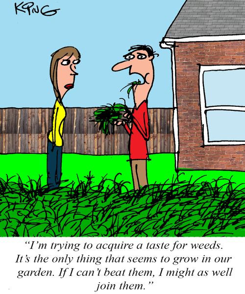 "I'm trying to acquire a taste for weeds. It's the only thing that seems to grow in our garden. If I can't beat them, I might as well join them."