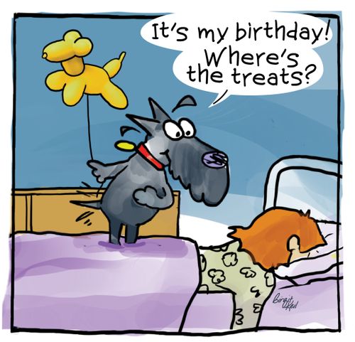 "It's my birthday! Where's the treats?"