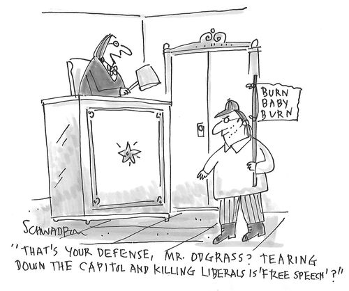 "That's your defense, Mr Odgrass? Tearing down the capitol and killing liberals is 'free speech'?"