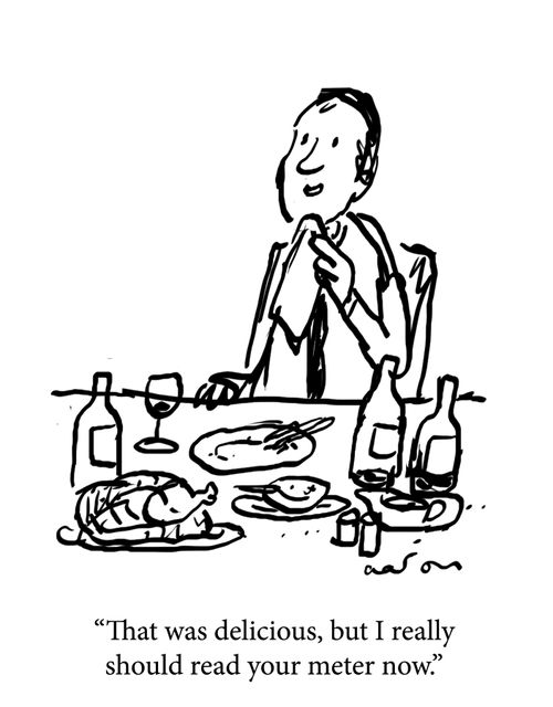 "That was delicious, but I really should read your meter now."