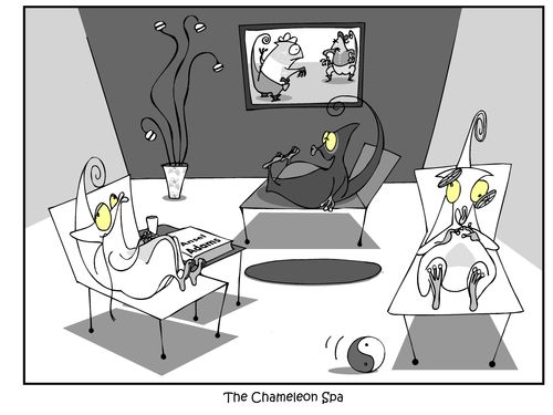 The Chameleon Spa
