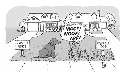 Invisible Dog