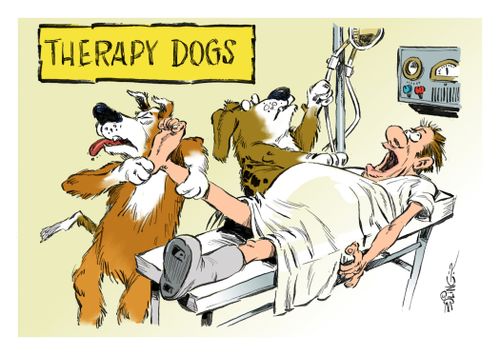 Therapy dogs