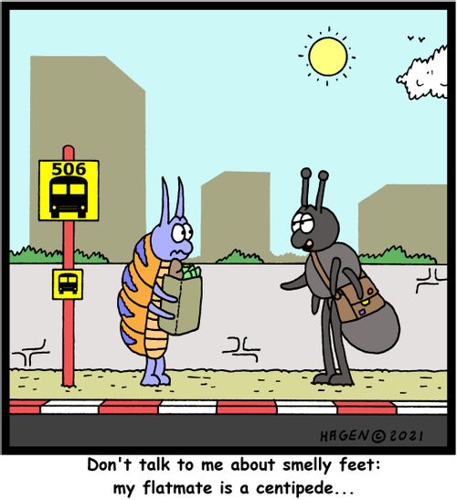 "Don't talk to me about smelly feet: my flatmate is a centipede..."