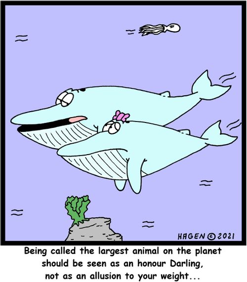 "Being called the largest animal on the planet should be seen as an honour Darling, not as an allusion to your weight..."