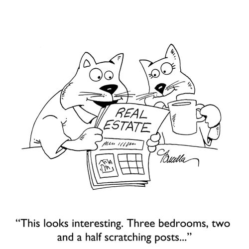 "This looks intersting. Three bedrooms, two and a half scratching posts..."