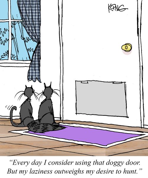 "Every day I consider using that doggy door. But my laziness outweighs my desire to hunt."