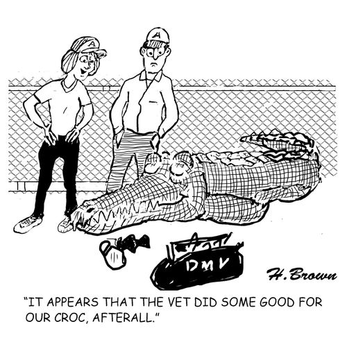 "It appears that the vet did some good for our croc, afterall."
