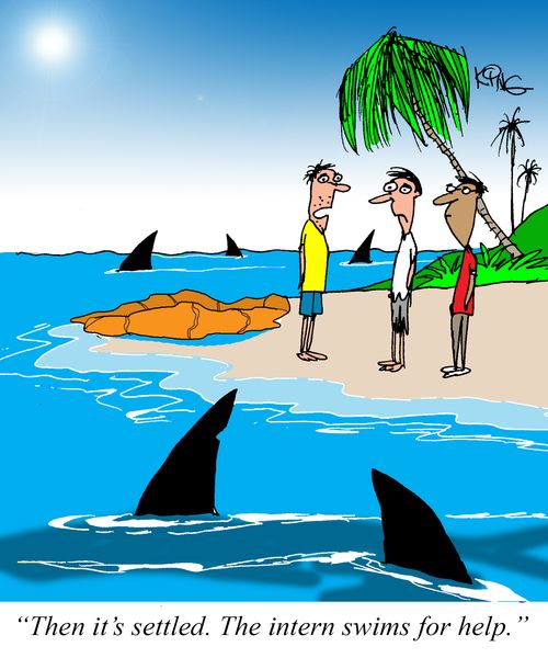 "Then it's settled. The intern swims for help."