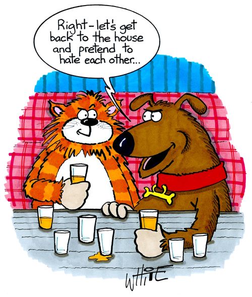 "Right - let's get back to the house and pretend to hate each other..."