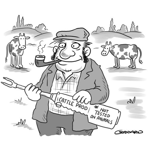 Cattle Prod - Not tested on animals