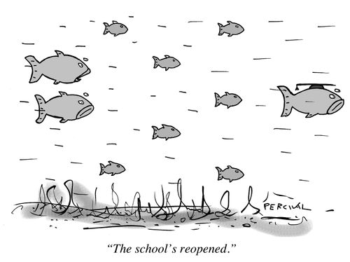 The school's reopened.