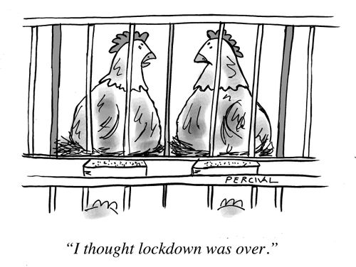 " I thought lockdown was over."