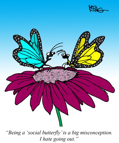 "Being a 'social butterfly' is big misconception. I hate going out."