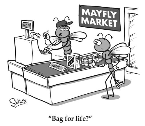 "Bag for life?"