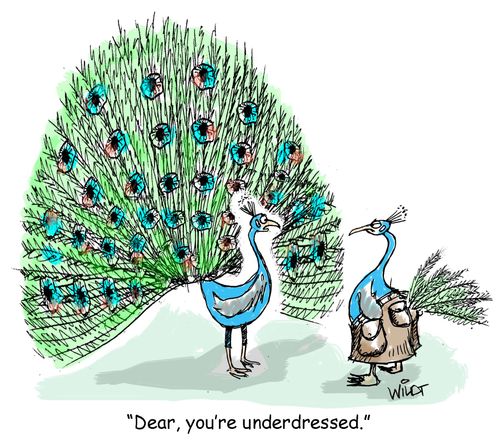 "Dear, you're underdressed."