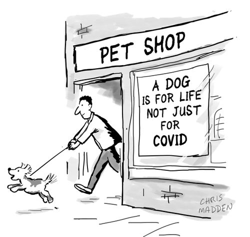 A dog is for life, not just for Covid.