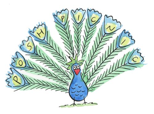 Peacock with feathers reading 'Posh picnic'