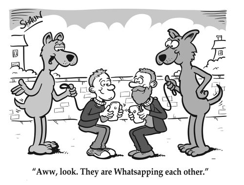 Aww, look. They are Whatsapping each other.