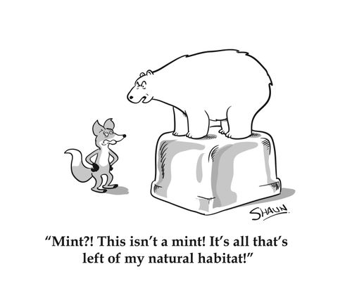 Mint?! This isn't a mint! It's all that's left of my natural habitat!
